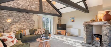 TV, fireplace
