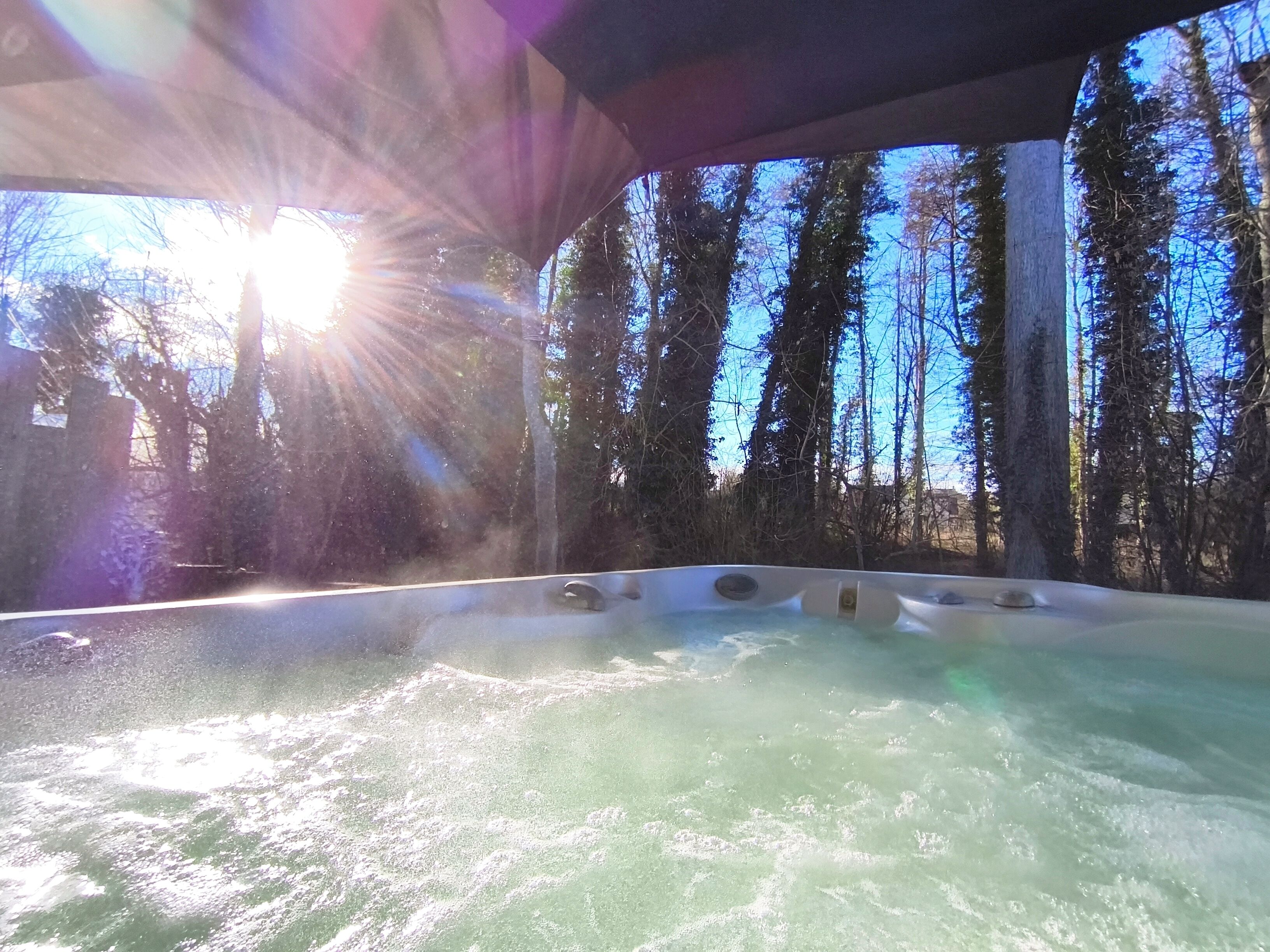 Un jacuzzi con vistas a altos árboles y un cielo despejado.