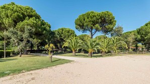 A park with a gravel path, green grass, and various trees including tall pine trees and palm trees. - 188 - Quinta da Sobreda (Benavente)