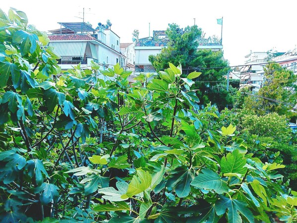 Garden - Candy Studio Apt Marousi (Marousi)