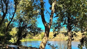 A picnic table in a wooded area by a lake. - Site 3 Private camp power @ site w Hot Showers & Potty At The CommunityBathhouse (Smithville)