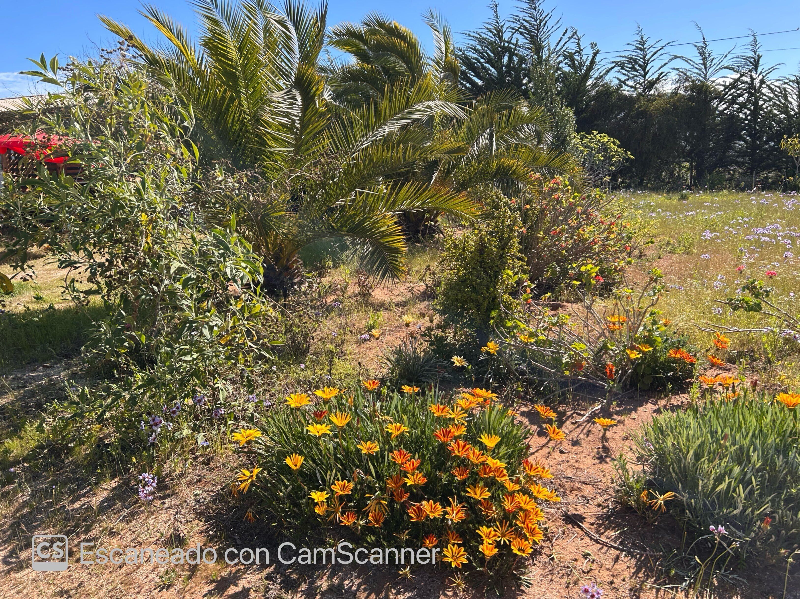 Terrain de l’hébergement 