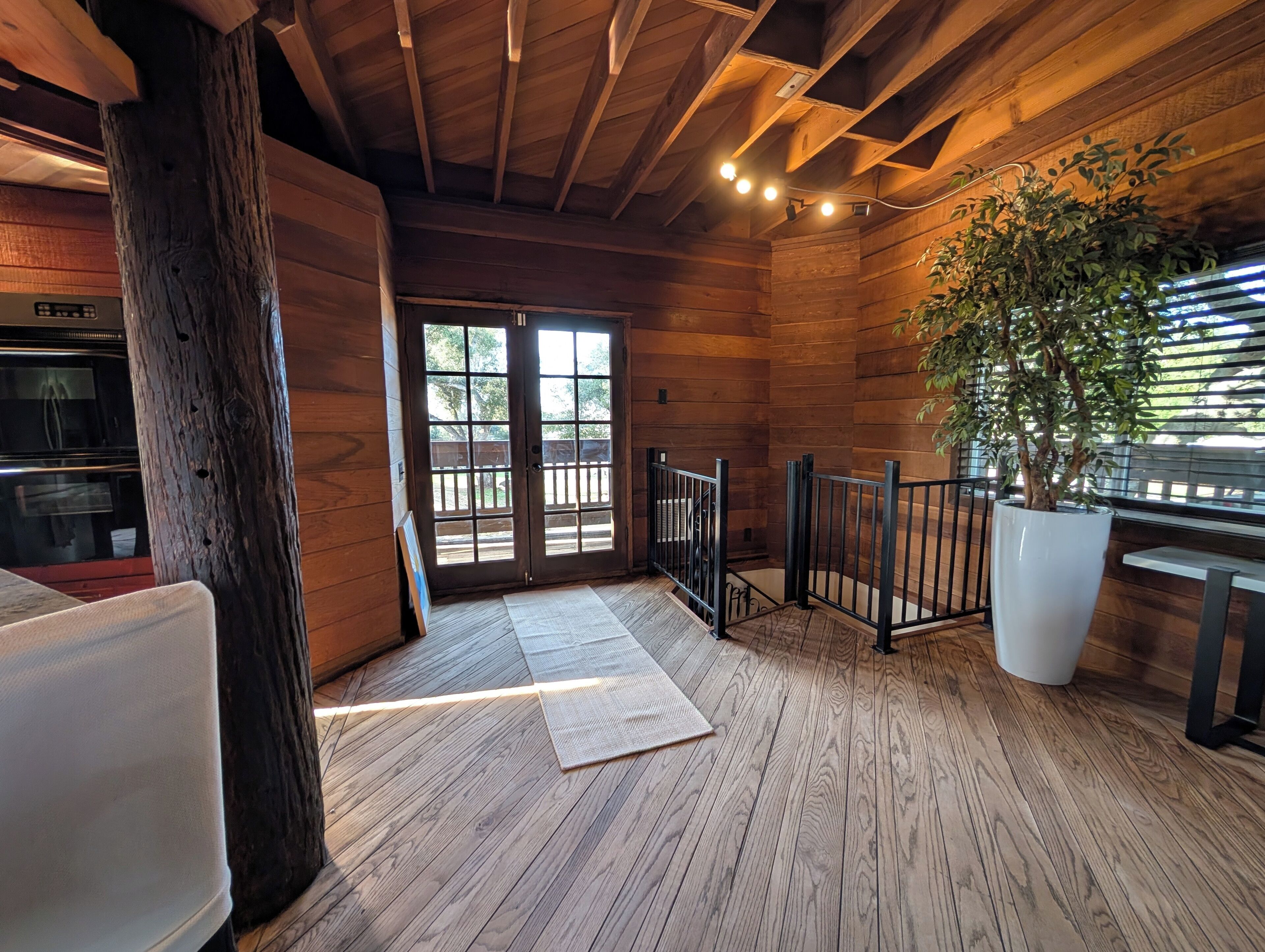 A wooden interior with a large potted plant, a wooden staircase, and a view through a glass door.