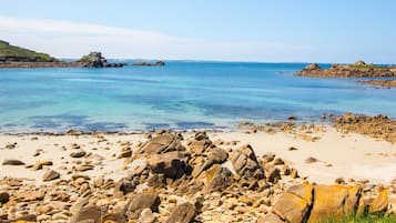 House | View from property