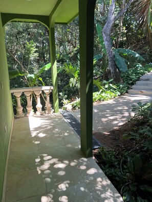 Property grounds - Pickleball Jungle Monkey (Nosara)