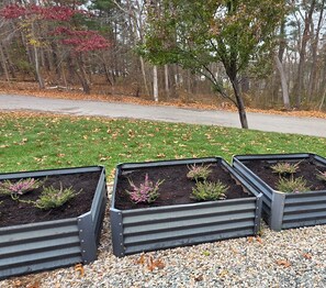 المنطقة المحيطة بالمنشأة