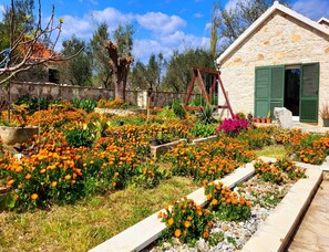 House | Garden - Villa With Pool Near Lake Vrana (Benkovac)