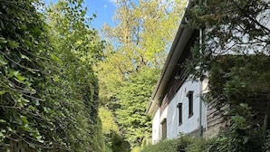 A gravel path leading to a white building with multiple windows, surrounded by dense greenery. - Holiday Home in Ruisseau de Vaux (Villers-le-Bouillet)