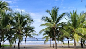 Ein Tisch mit Frühstücksangeboten und Blick auf einen Strand mit Palmen.