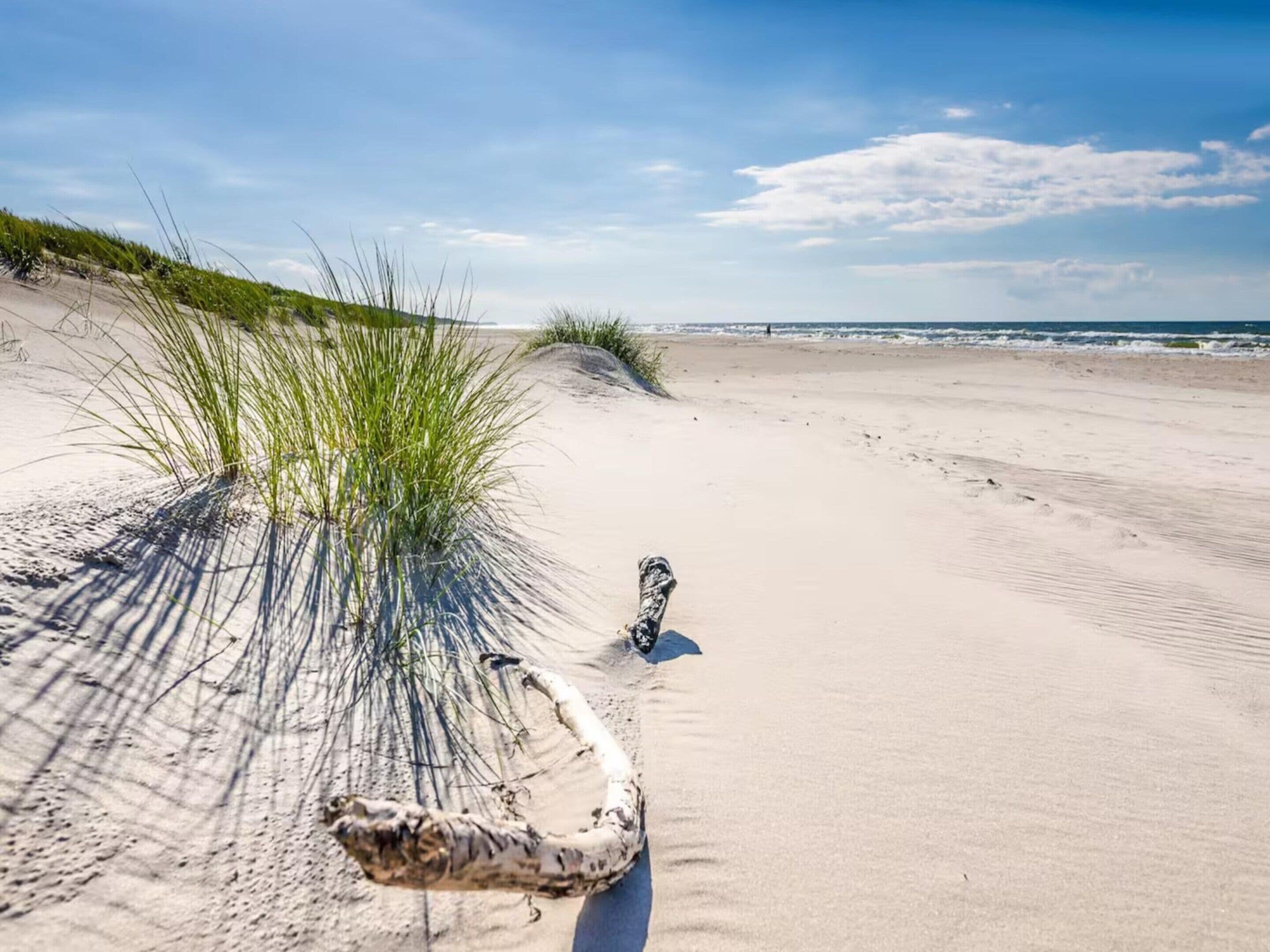 Casa | Vista desde la propiedad