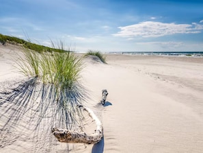 A sandy beach with grass and a piece of driftwood. - Large Holiday Home, Summer Pool, Sauna, Whirlpool (Choczewo)