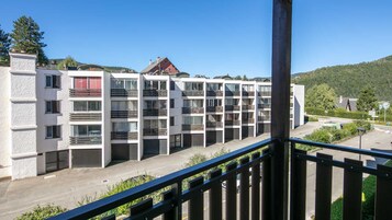 Vista desde la propiedad