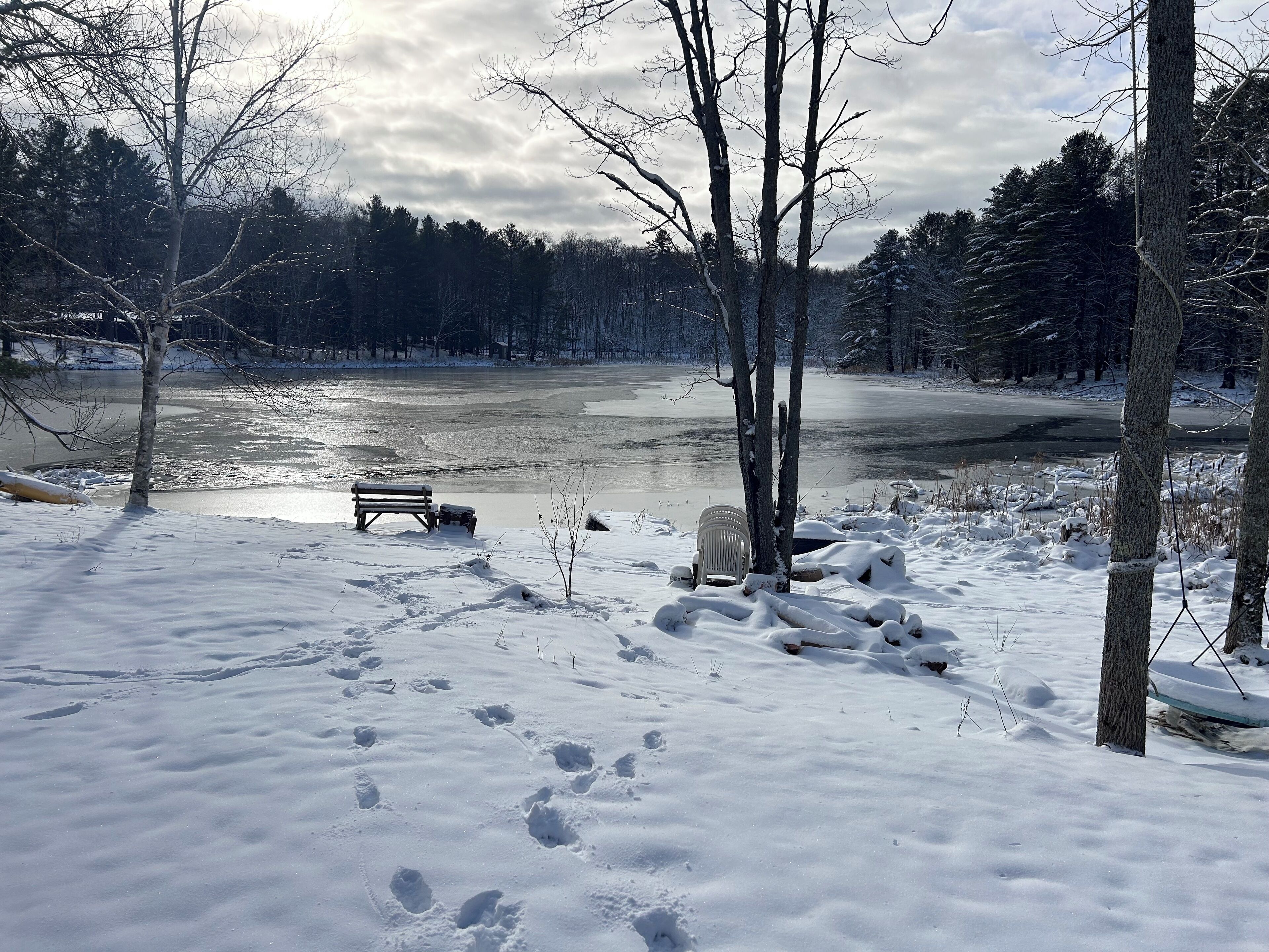A snow-covered landscape with a frozen lake, a bench, and trees.