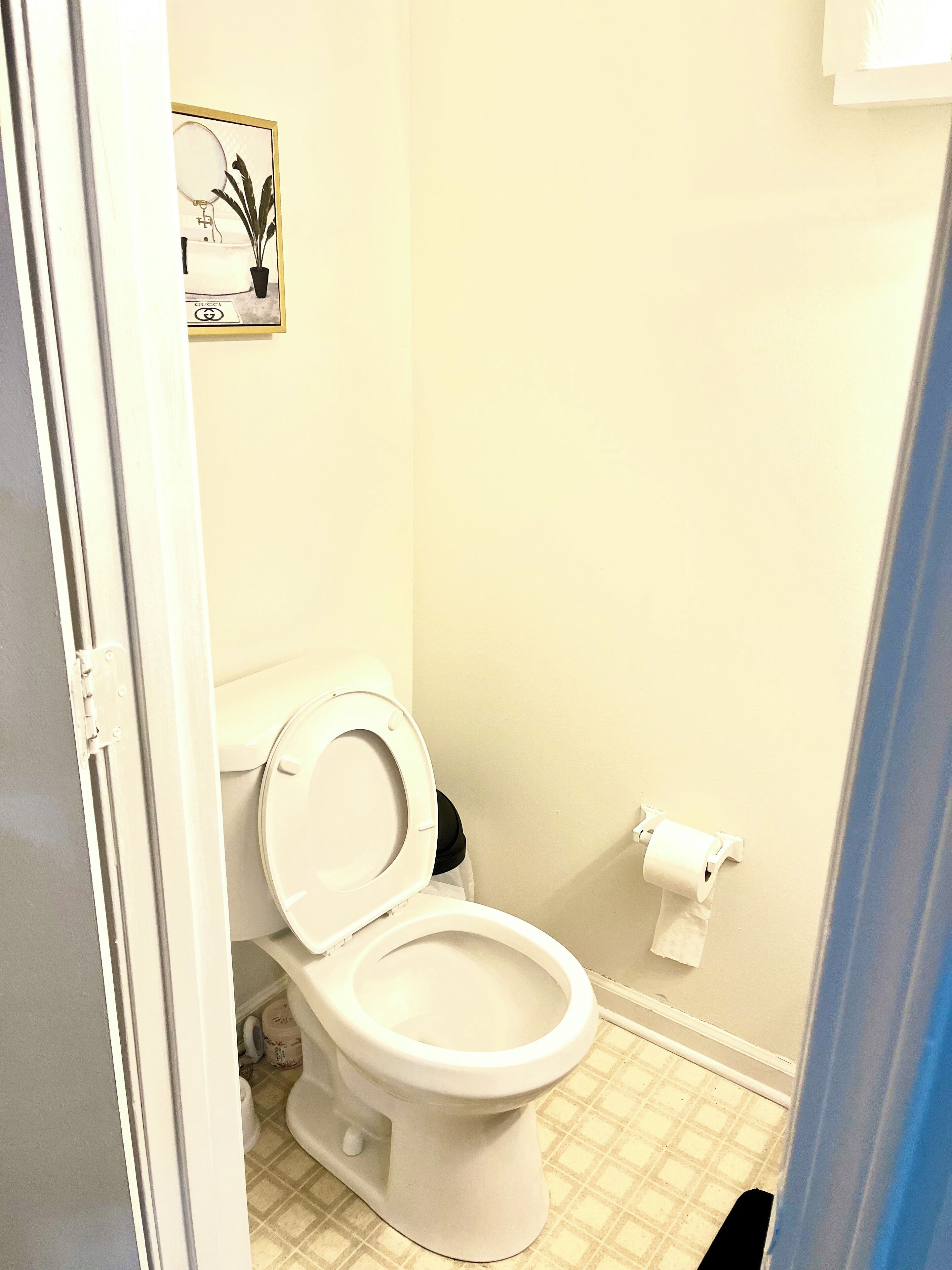 Een badkamer met een toilet, een toiletrolhouder en een ingelijst beeld aan de muur.