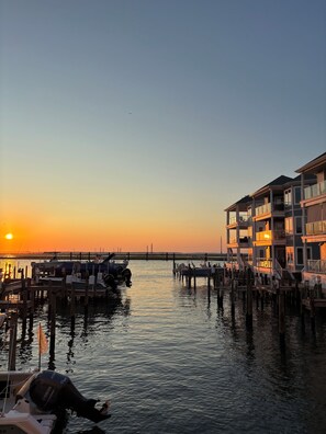 Marina - THIS MUST BE THE PLACE! Captain Beebe's waterfront condo (Chincoteague)
