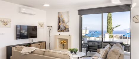 TV, fireplace, books