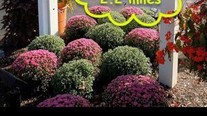 A sign for Hershey Gardens with a distance marker indicating 2.2 miles. - Hersheypark in 2 miles,w/ large private yard (Hershey)