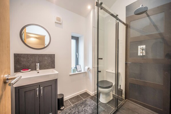 A modern bathroom with a glass shower enclosure, a toilet, and a sink with a mirror above.