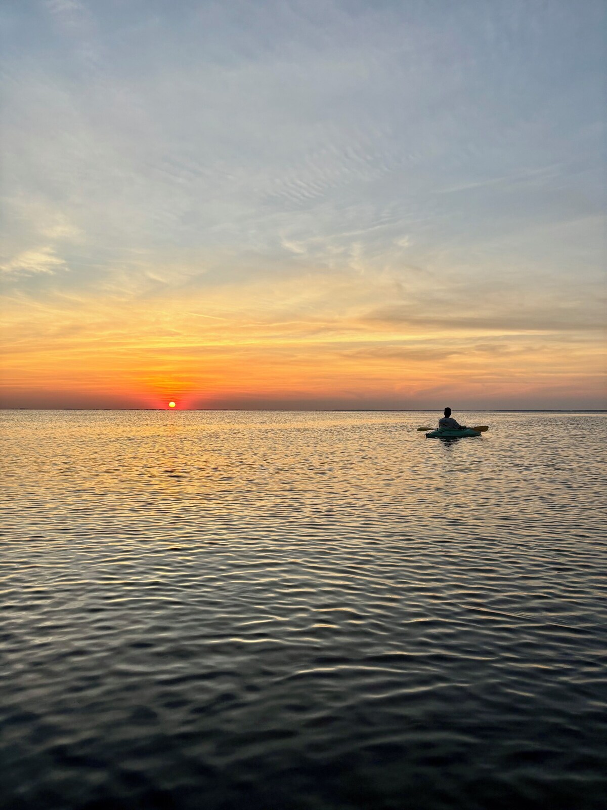 Værtens profilbillede