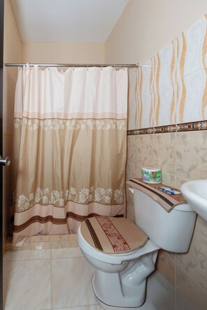 Kamer, 1 twee- of 2 eenpersoonsbedden | Badkamer | Een douche, handdoeken, zeep, shampoo