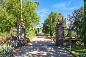 Un chemin pavé, bordé de grilles en métal, mène à un parc arboré et verdoyant.