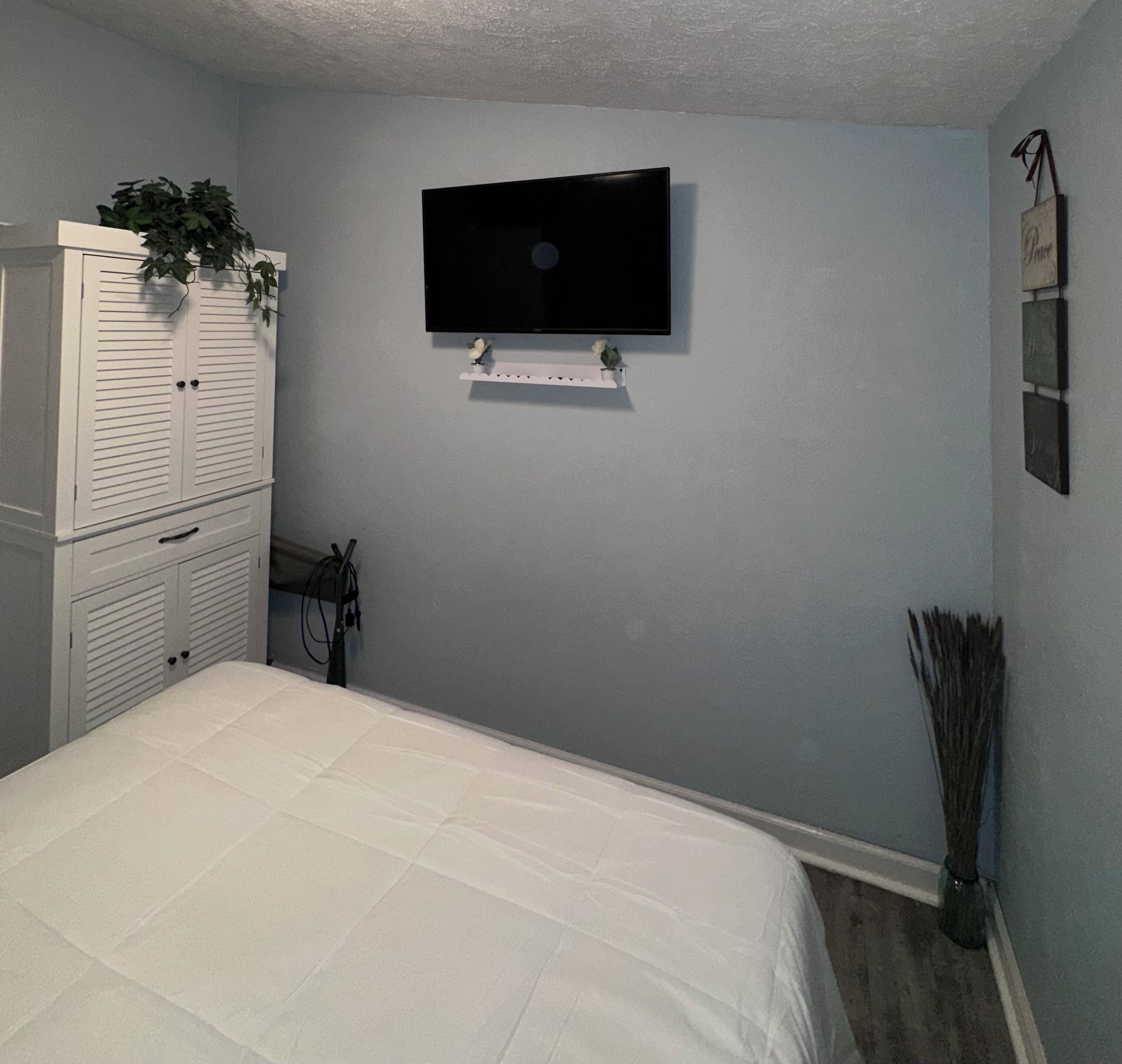 A bedroom with a bed, a TV mounted on the wall, a wardrobe, and a plant.