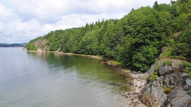 Un lago tranquillo con una sponda rocciosa e una fitta foresta verde.