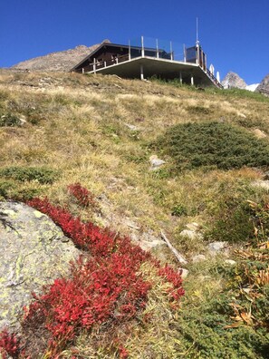 Property grounds - Alpenstern by Interhome (Saas-Grund)