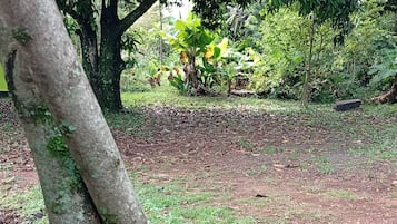 บริเวณภายนอก