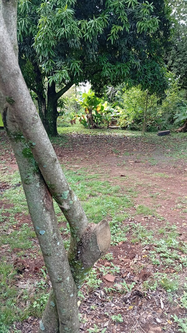 Exterior - Cabañas Misioneras (San Ignacio)