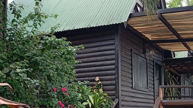 A rustic wooden cabin with a corrugated metal roof, surrounded by lush greenery and a stone staircase leading to the entrance. - Cabañas Misioneras  (San Ignacio)