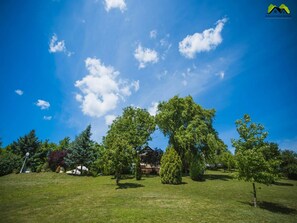 House | Exterior - Holiday Home Boltar - Two Bedroom Holiday Home With Swimming Pool (Sveti Ilija)