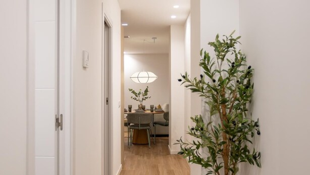 A hallway with a wooden floor, a dining area with a table and chairs, and a potted plant. - Apartment + Office in Delicias (Madrid)