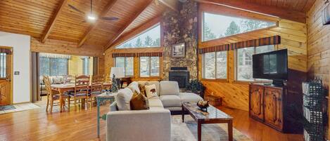 Televisie, een open haard, een dvd-speler en een filmbibliotheek