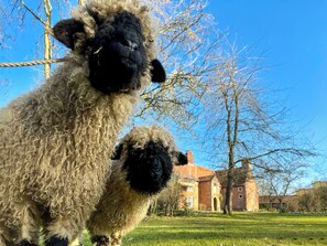 Imagen sin descripción, 3 de 5, botón