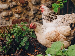 Imagen sin descripción, 5 de 5, botón