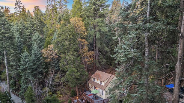A house surrounded by dense forest, with a deck and outdoor seating area.