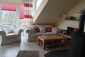 Smart TV, fireplace, video games, DVD player