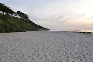 Ranta