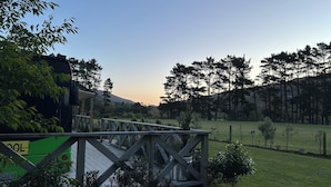A wooden bridge over a body of water, surrounded by greenery and trees. - Escape to Tranquillity: The Bus Stop Your Tiny Home Bus Retreat (Wainuiomata Coast)