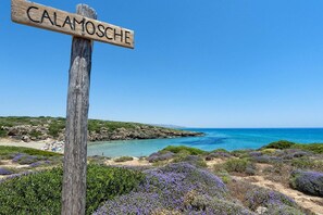 Beach - Holiday Home in Siracusa with garden (Siracusa (SR))
