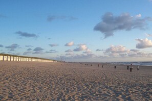 A wide sandy beach with a row of white buildings along the shore. - Lovely villa on the edge of the forest (Den Burg)