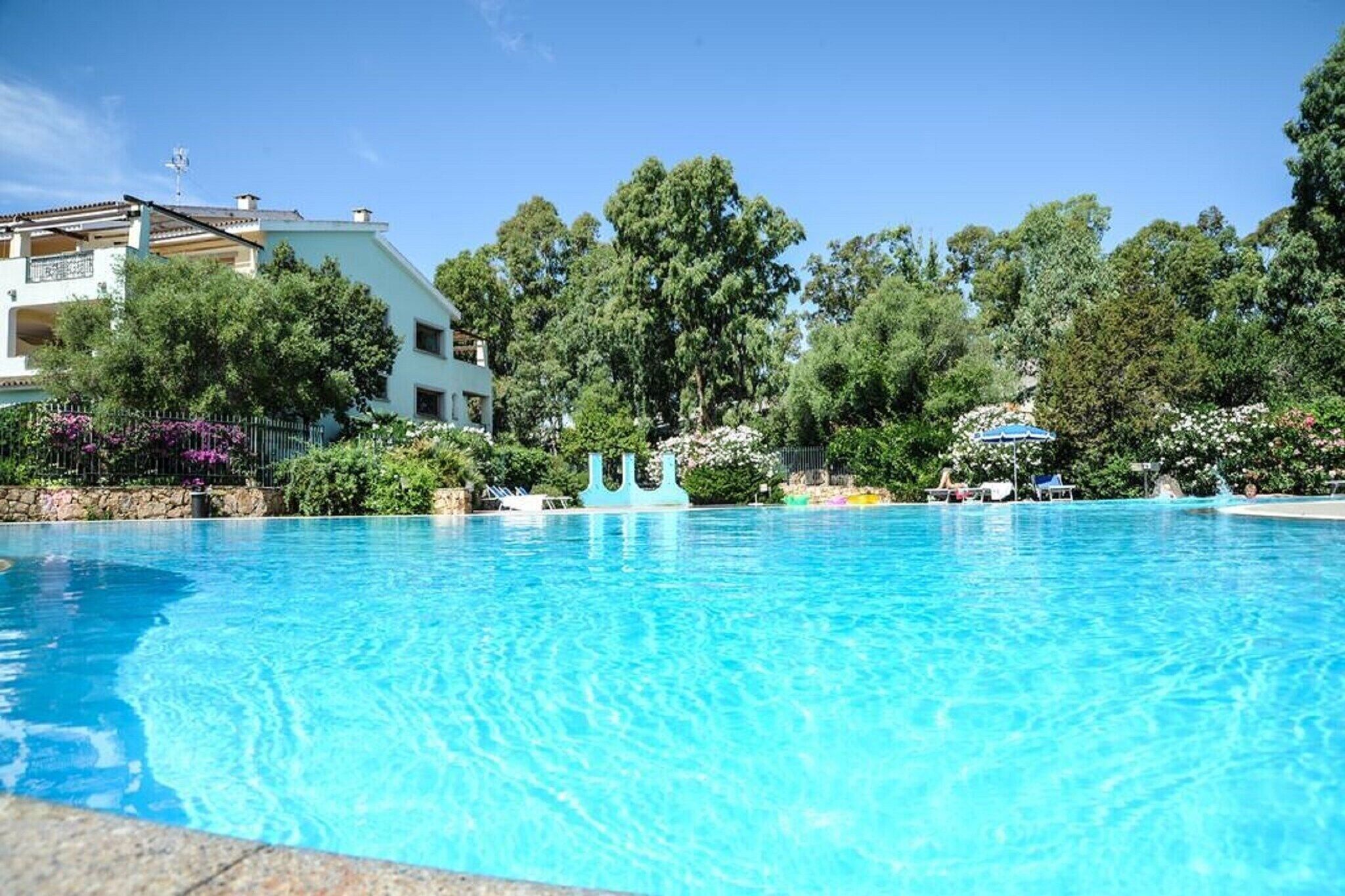 Une piscine d’un bleu éclatant, entourée d’une végétation luxuriante, et un bâtiment blanc doté de balcons.