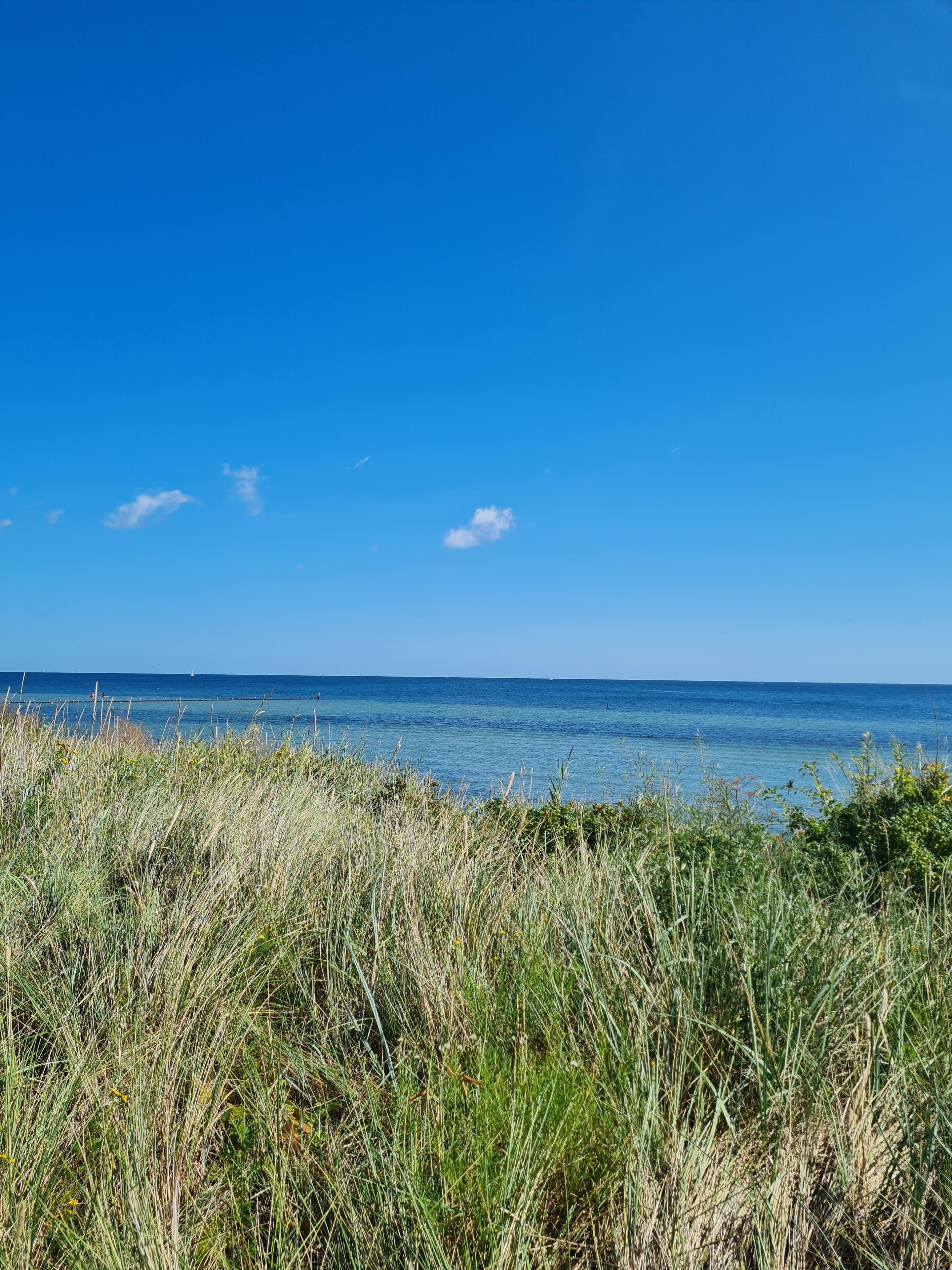 بالقرب من الشاطئ