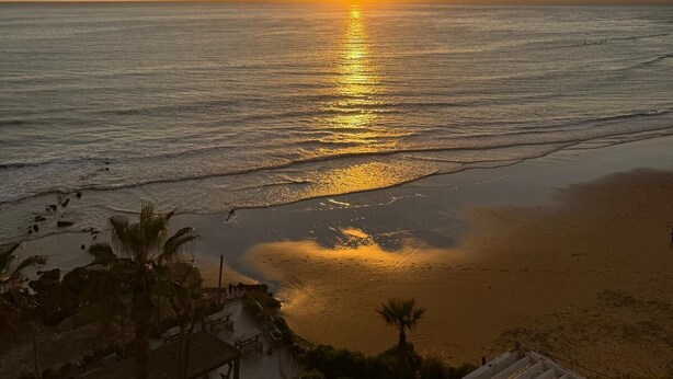 Ein Strand mit Sonnenuntergang, ruhiger See und Palmen.