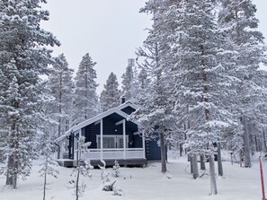 Eksteriør