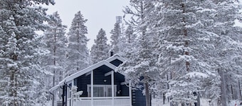 Sinikiiruna by Interhome