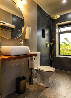 Regadera, amenidades de baño ecológicas, secadora de cabello, toallas 