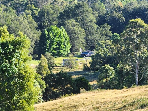 Miscellaneous - Completely off grid new tiny home inrainforest and farming haven near Berry (Wattamolla)