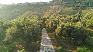 A stone pathway leading through a vineyard with rows of trees and a distant view of houses. - Bed&Breakfast by the sea 1 double room/2 persons (Kryevidh)